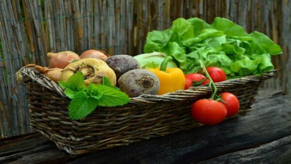 Pflanzliche Ernährung: Worauf ist zu achten?