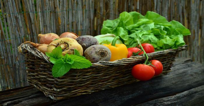 🥗 Was ist bei der Umstellung auf pflanzliche Ernährung zu beachten?