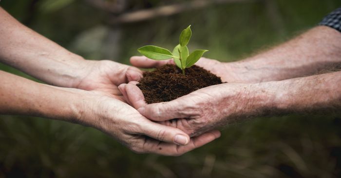 🌱🌳Welchen Beitrag kann ich zur Nachhaltigkeit leisten?